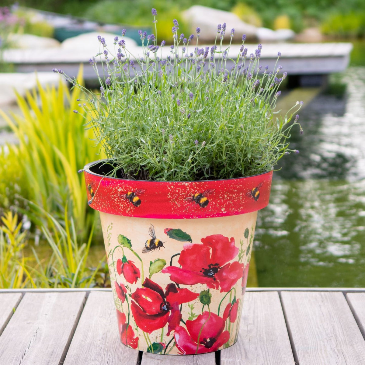 Zest Garden Pot Poppies Bees 5 Sizes Available