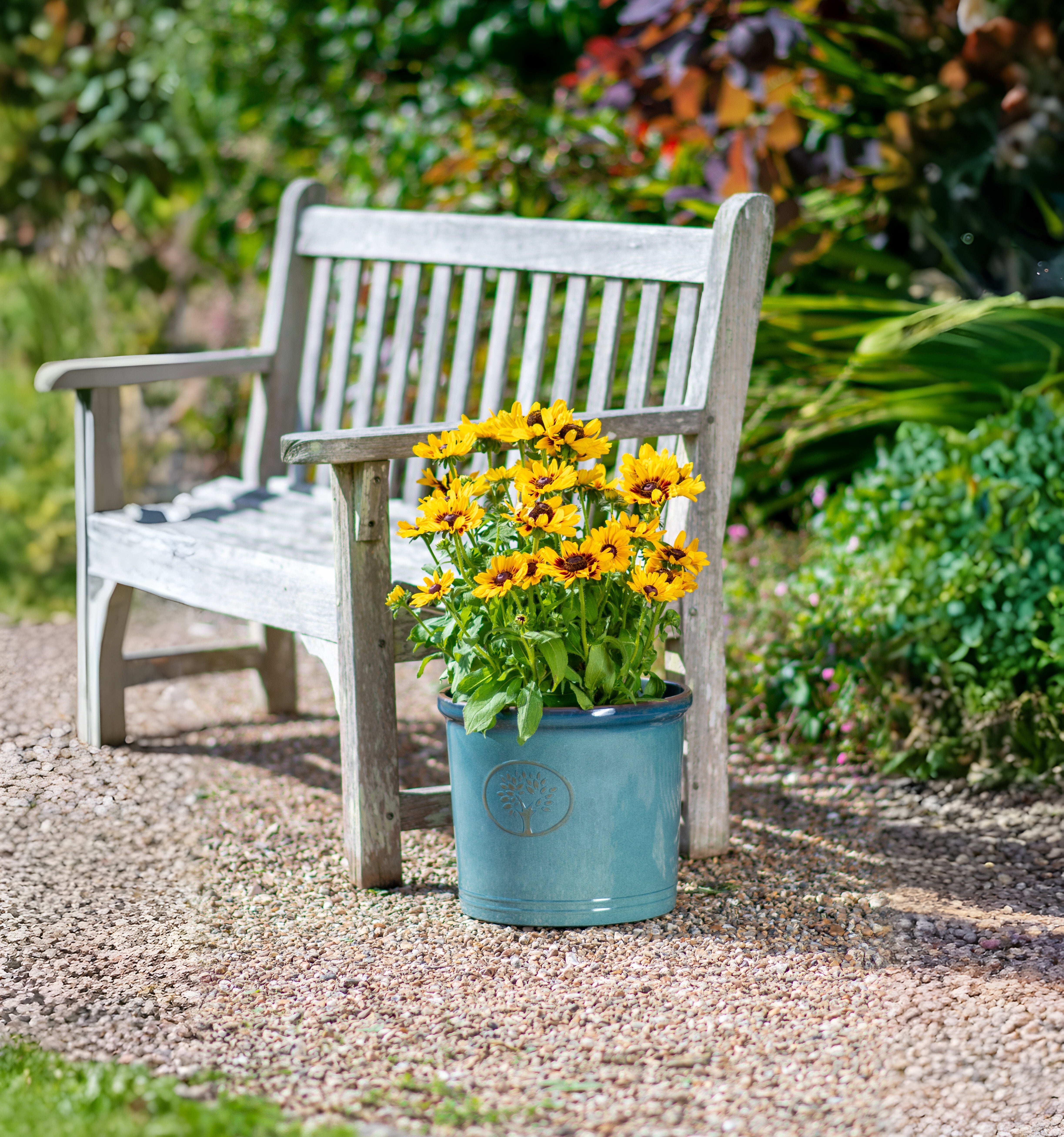 Cotswold Cylinder Planters