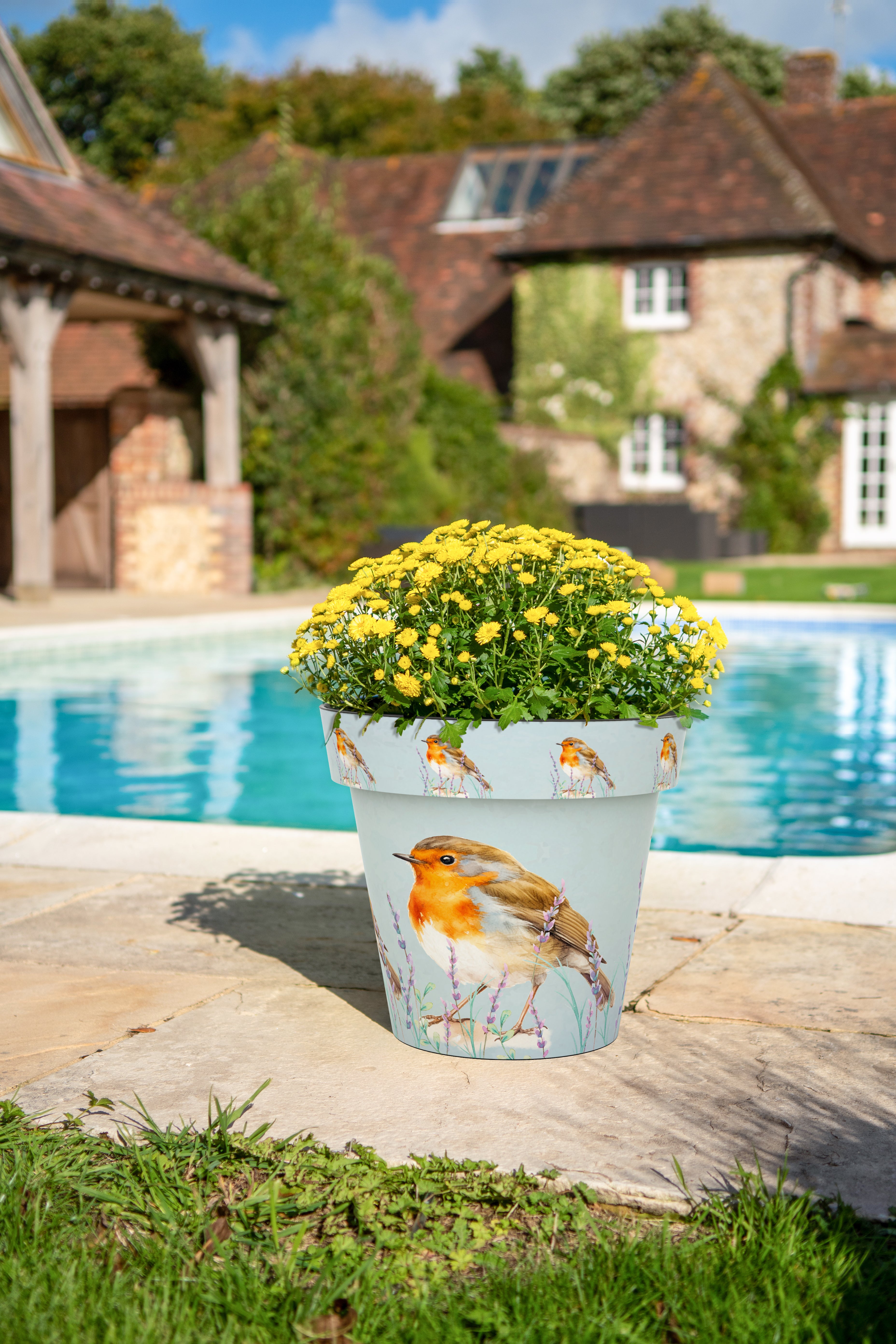 22cm Zest Pot - Robin