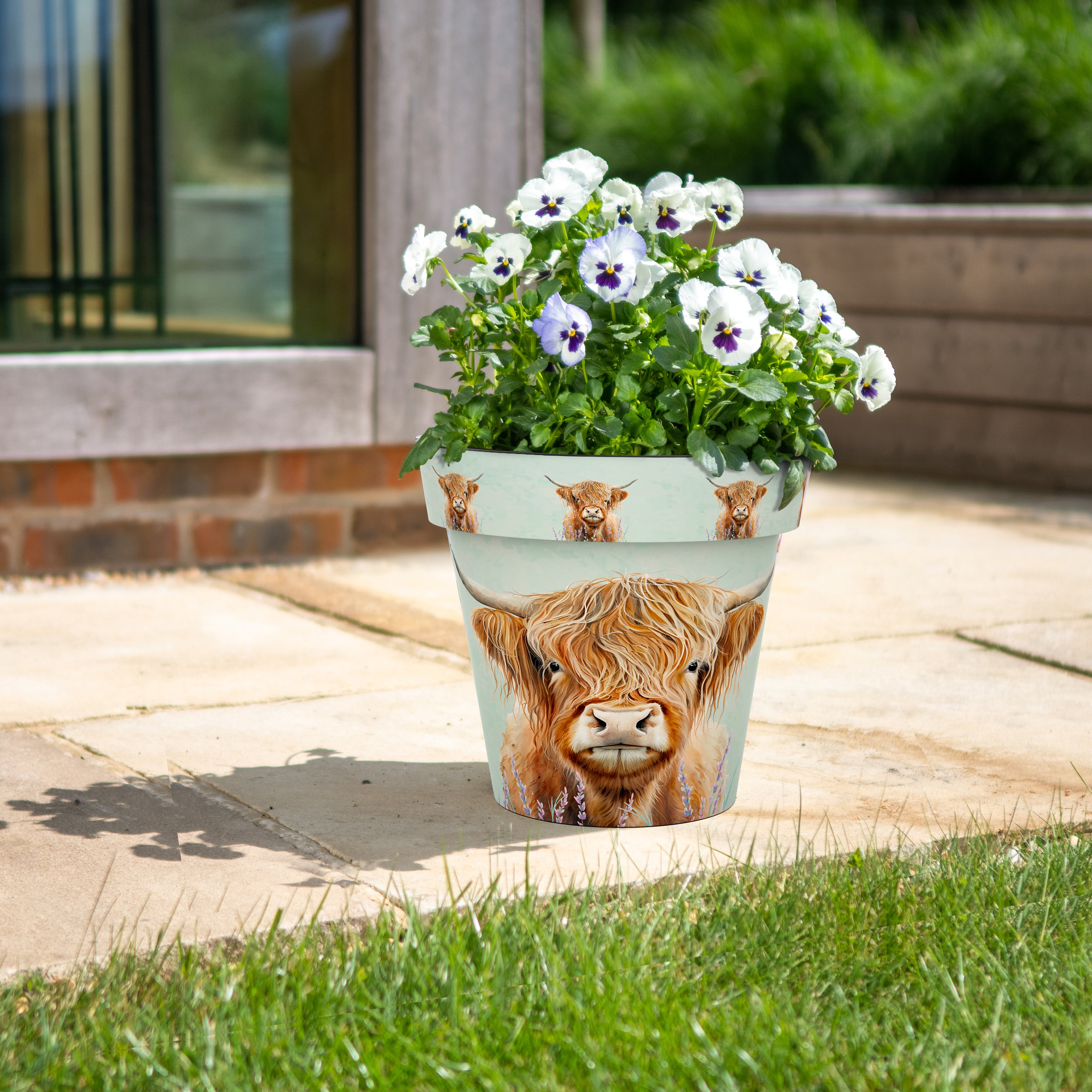 15cm Zest Pot - Highland Cow