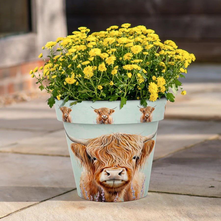 highland cow plant pot Zest Pot