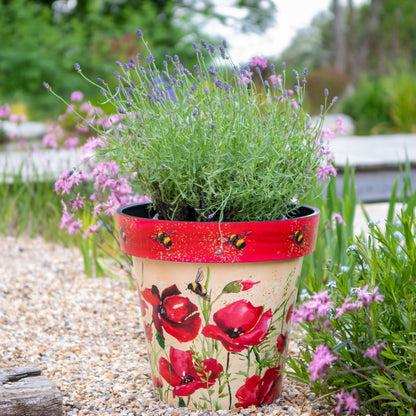 30cm Zest Outdoor Garden Pot - Poppies & Bees