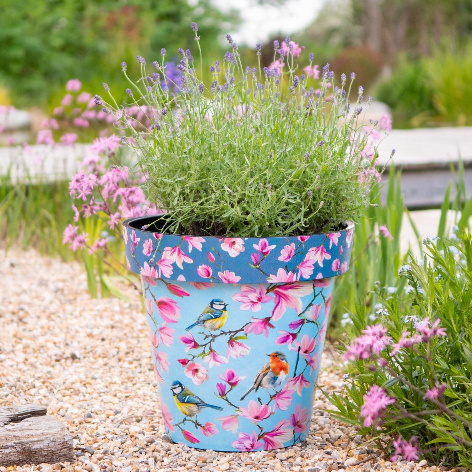 15cm Zest Indoor Garden Pot - Watercolour Birds