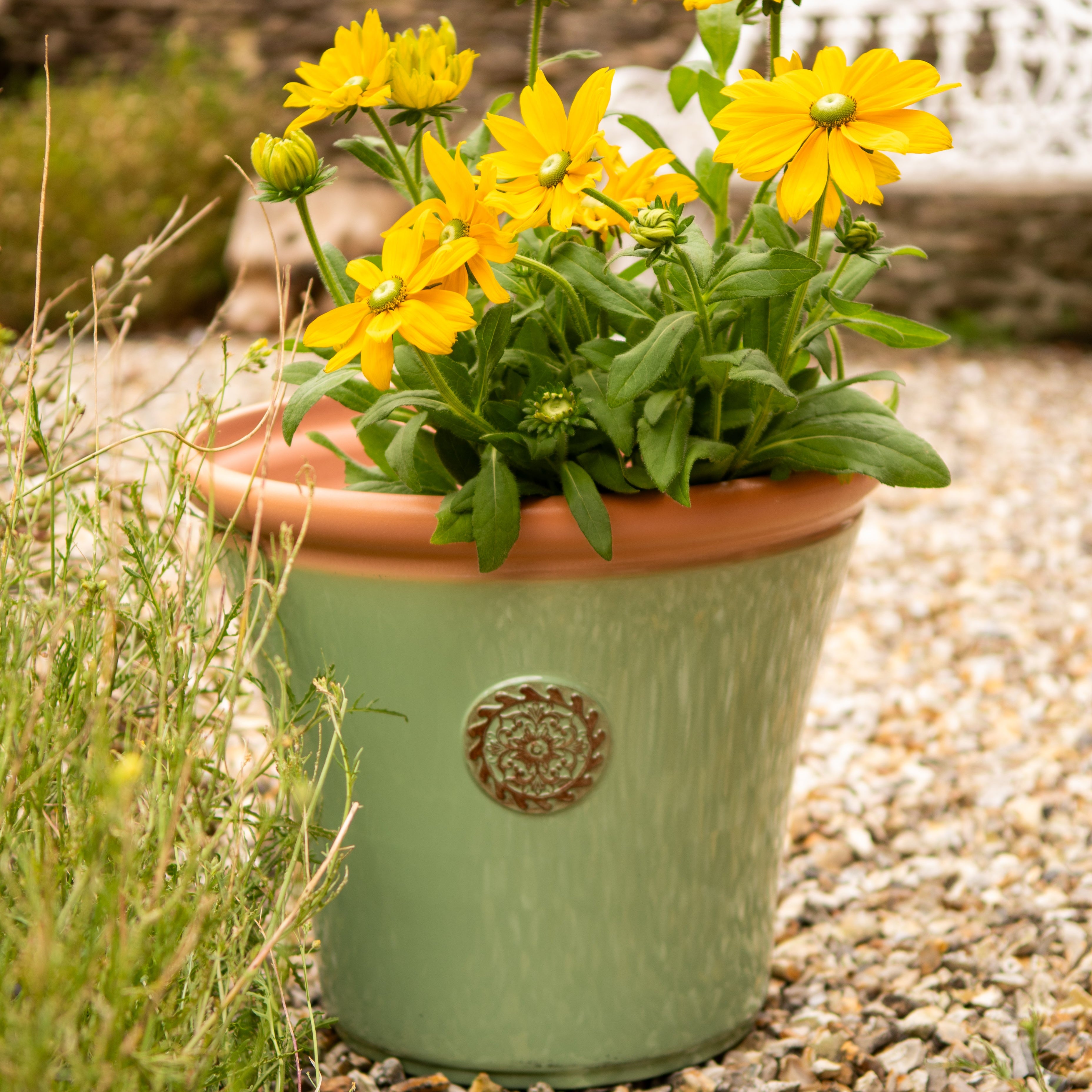 Chatsworth Pot - Sage Green (Available in 3 sizes)
