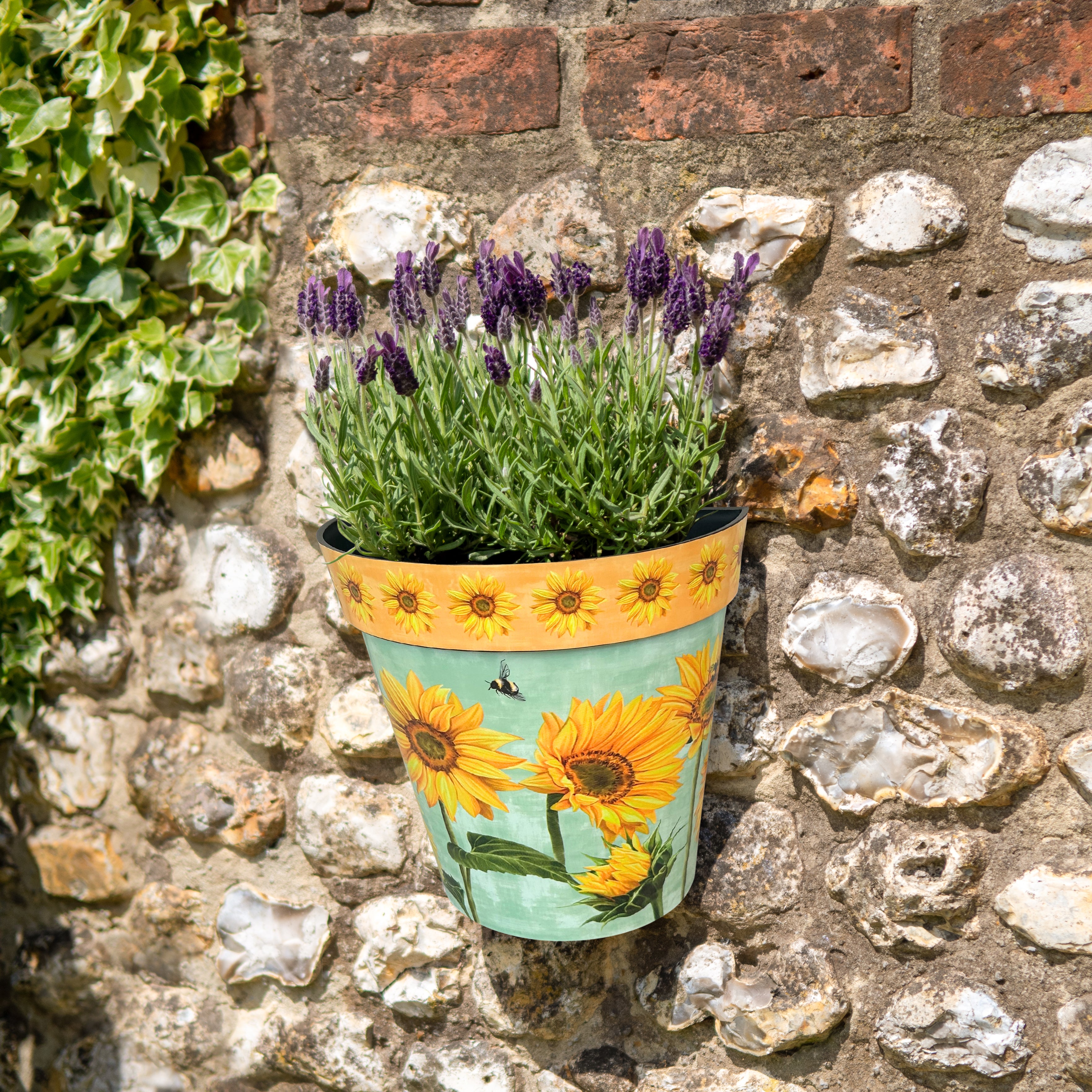 Zest Wall Pot - Watercolour Sunflower
