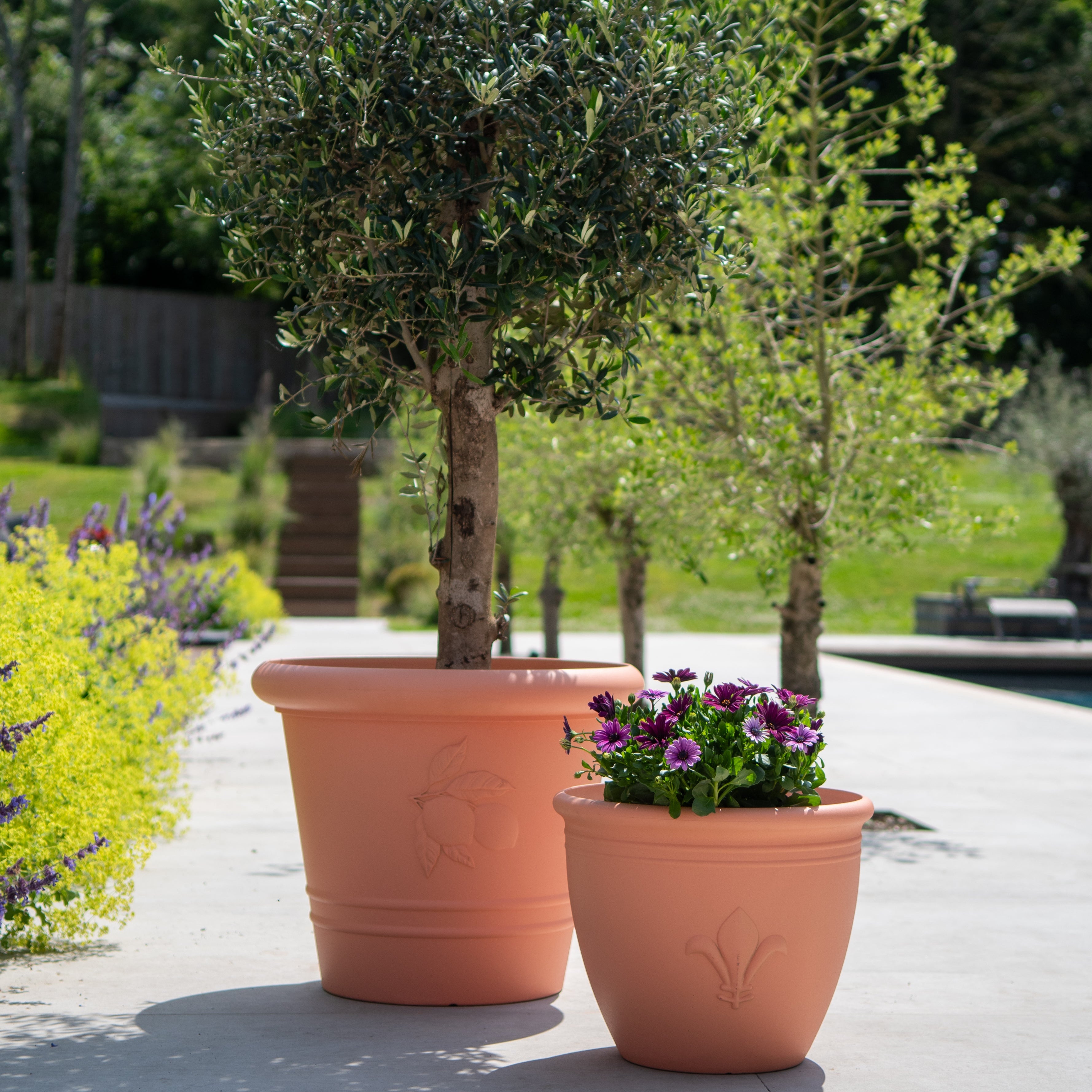 Terracotta Planter - Sicilia (Available in 3 sizes)
