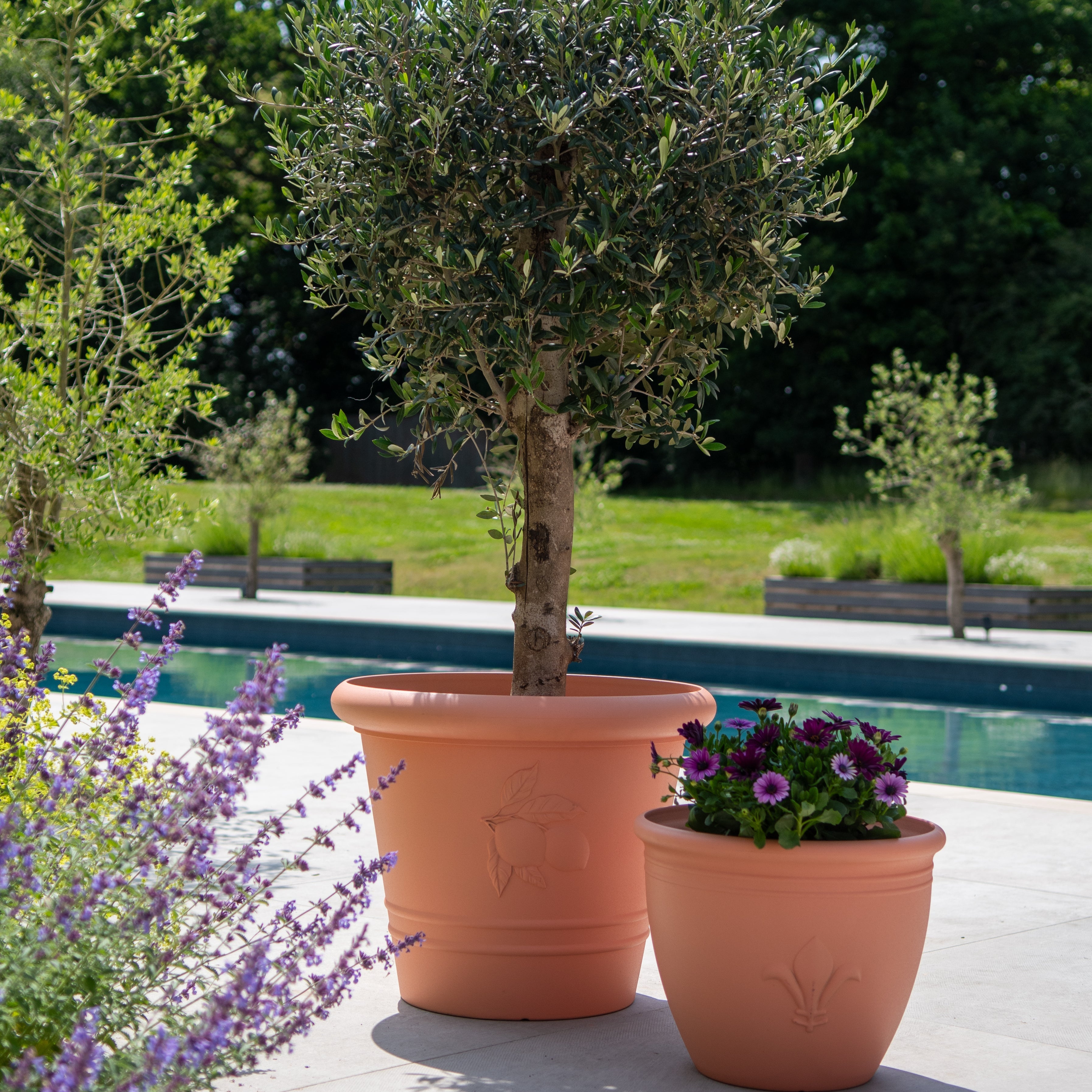 Terracotta Planter - Fluer (Available in 3 sizes)