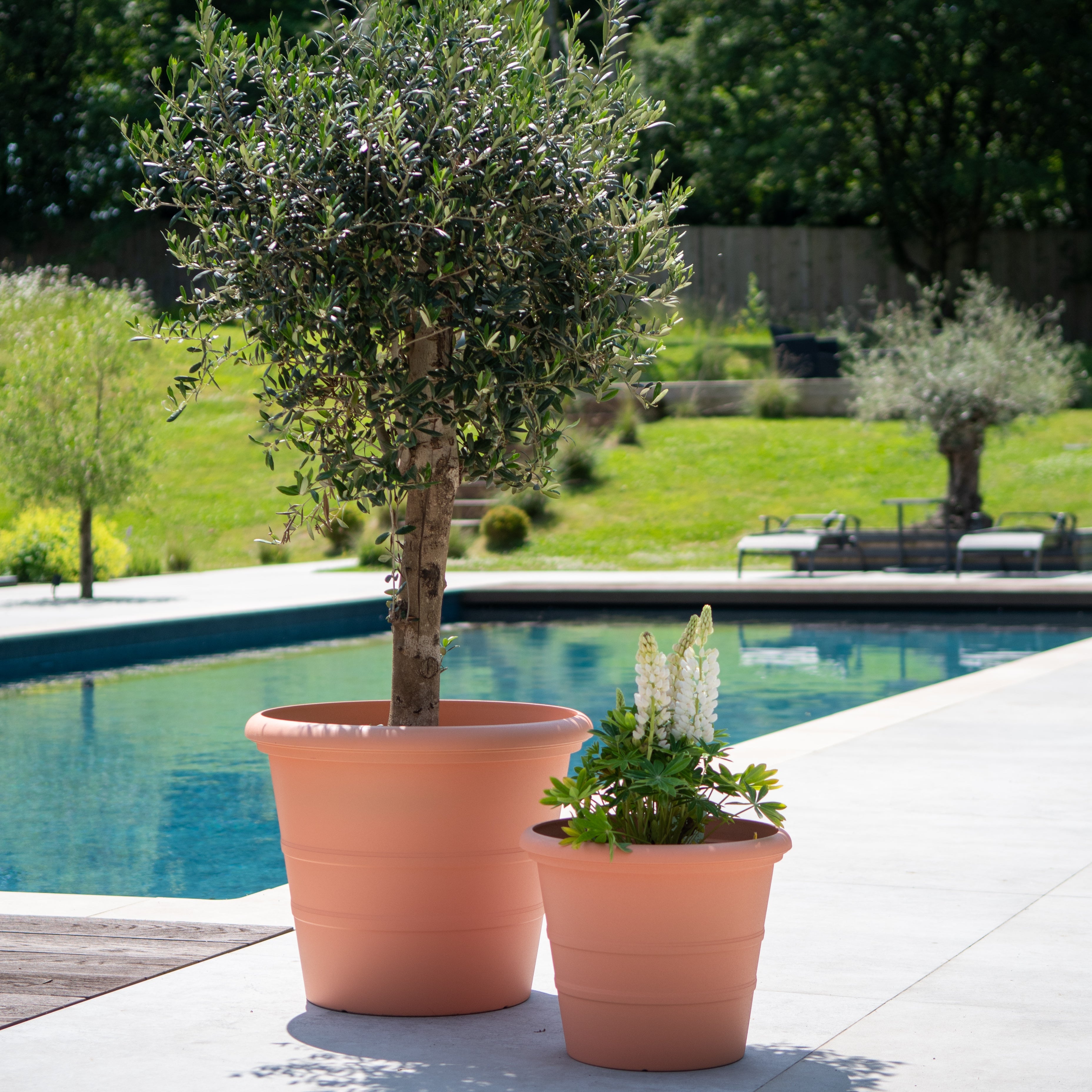 Terracotta Planter - Classico (Available in 3 sizes)