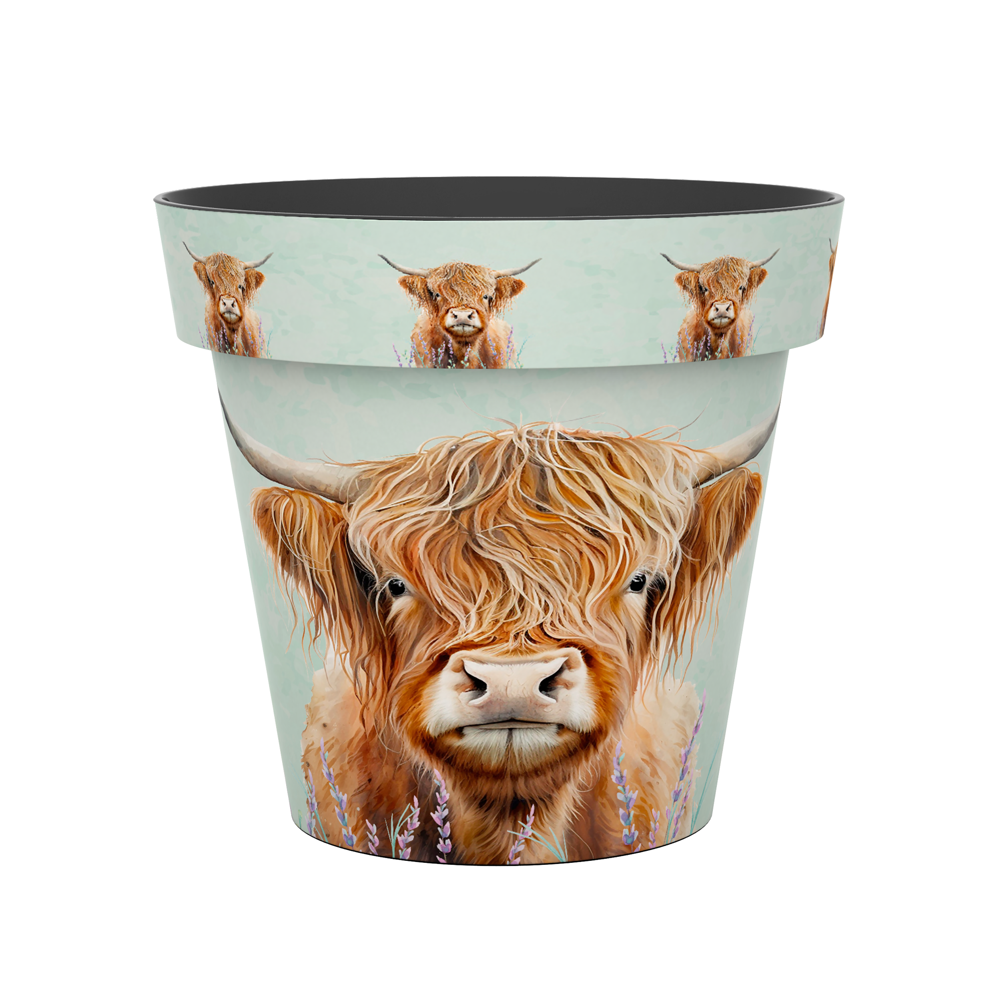 15cm Zest Pot - Highland Cow