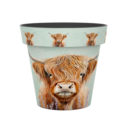 Zest Pot - Highland Cow (available in 4 sizes)