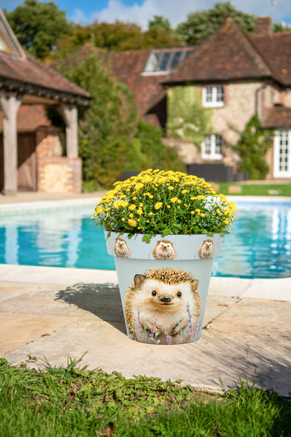 Zest Pot - Hedgehog (available in 4 sizes)