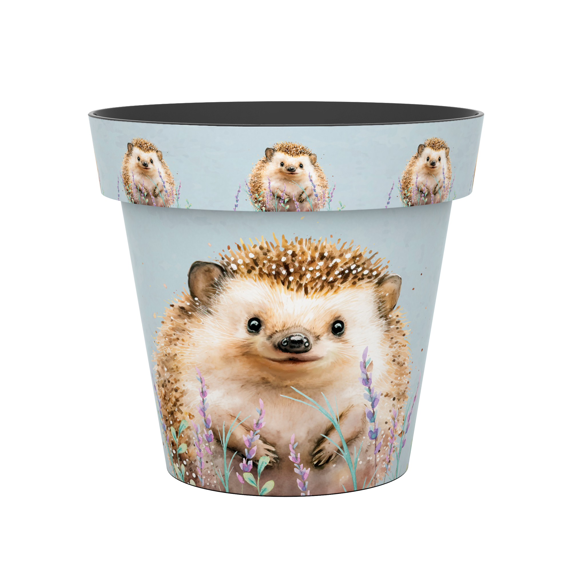 15cm Zest Pot - Hedgehog
