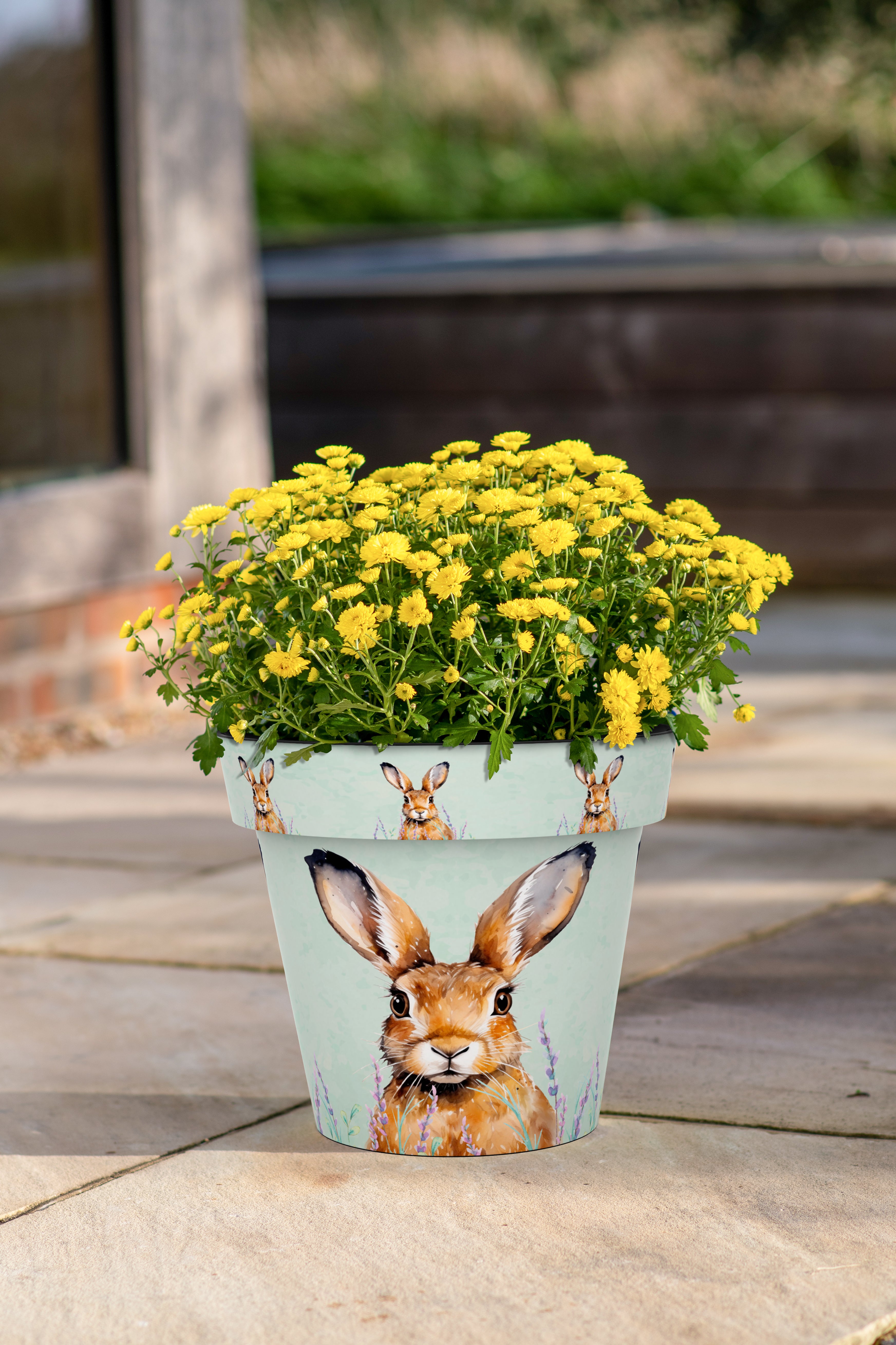 Zest Pot - Hare (available in 4 sizes)