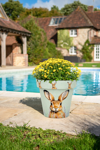 Zest Pot - Hare (available in 4 sizes)