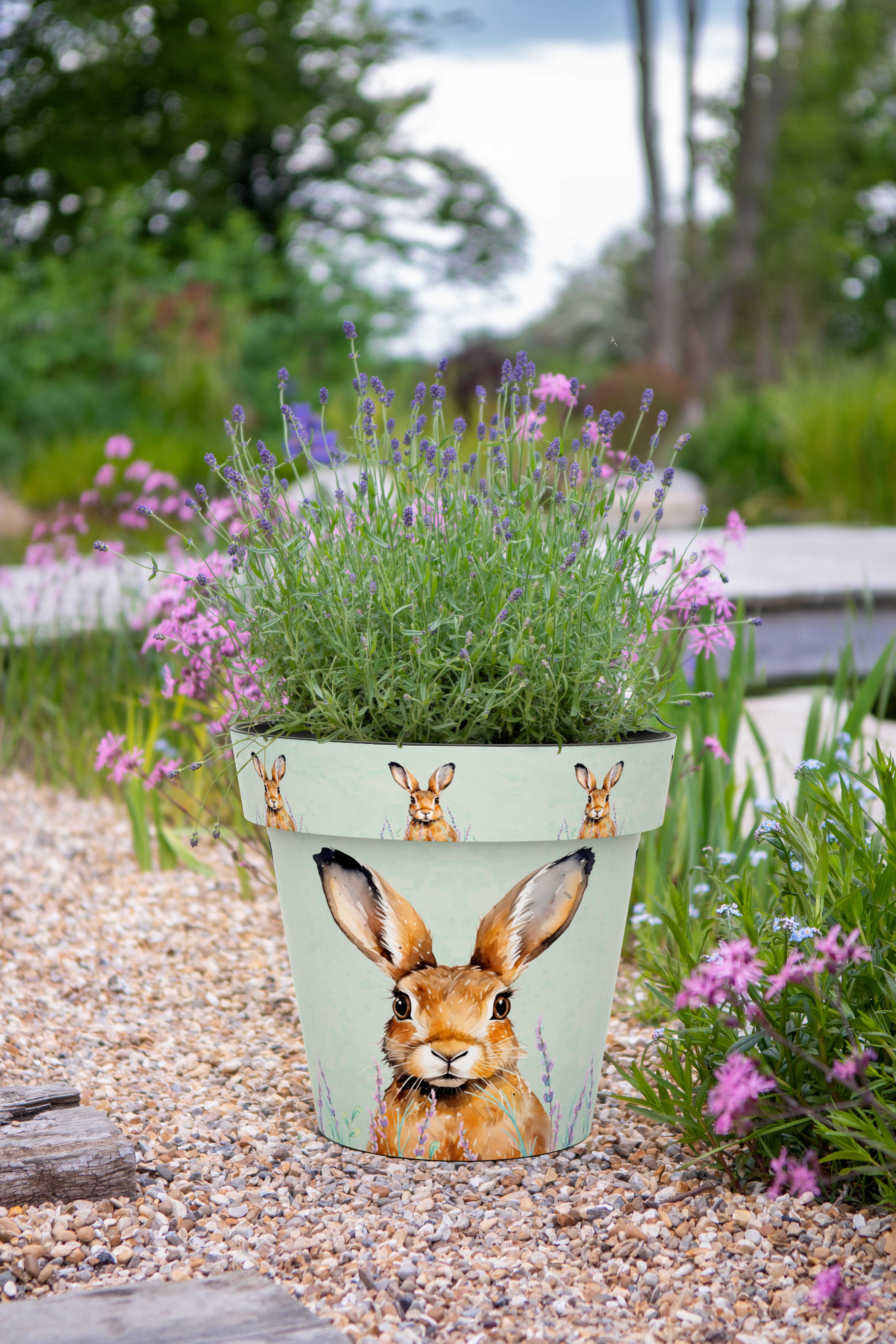 15cm Zest Pot - Hare