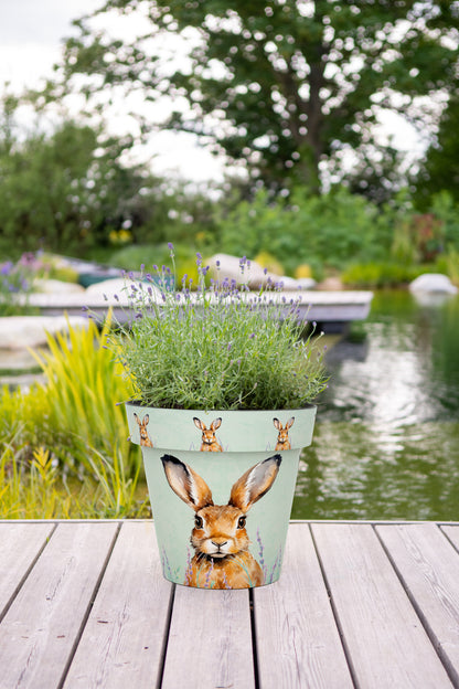 38cm Zest Pot - Hare