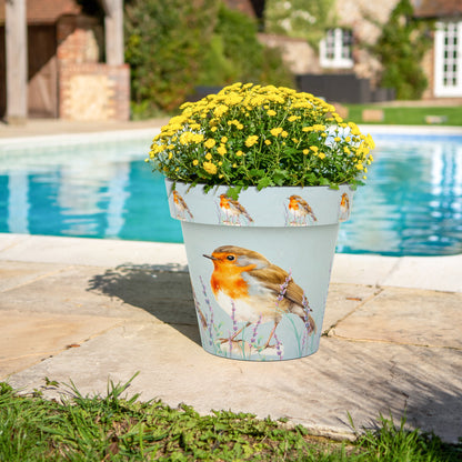 Zest Pot - Robin (available in 4 sizes)