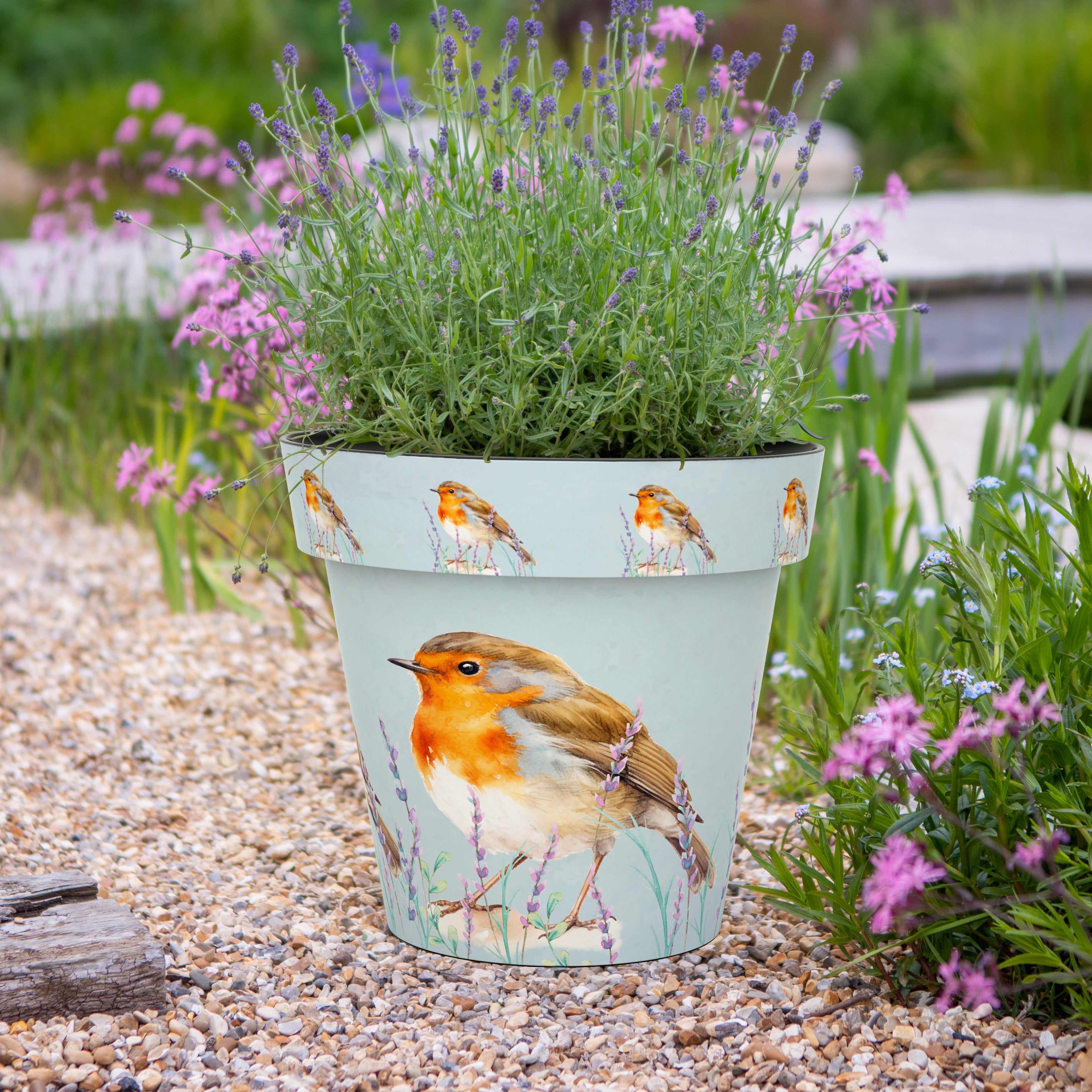 Zest Pot - Robin (available in 4 sizes)
