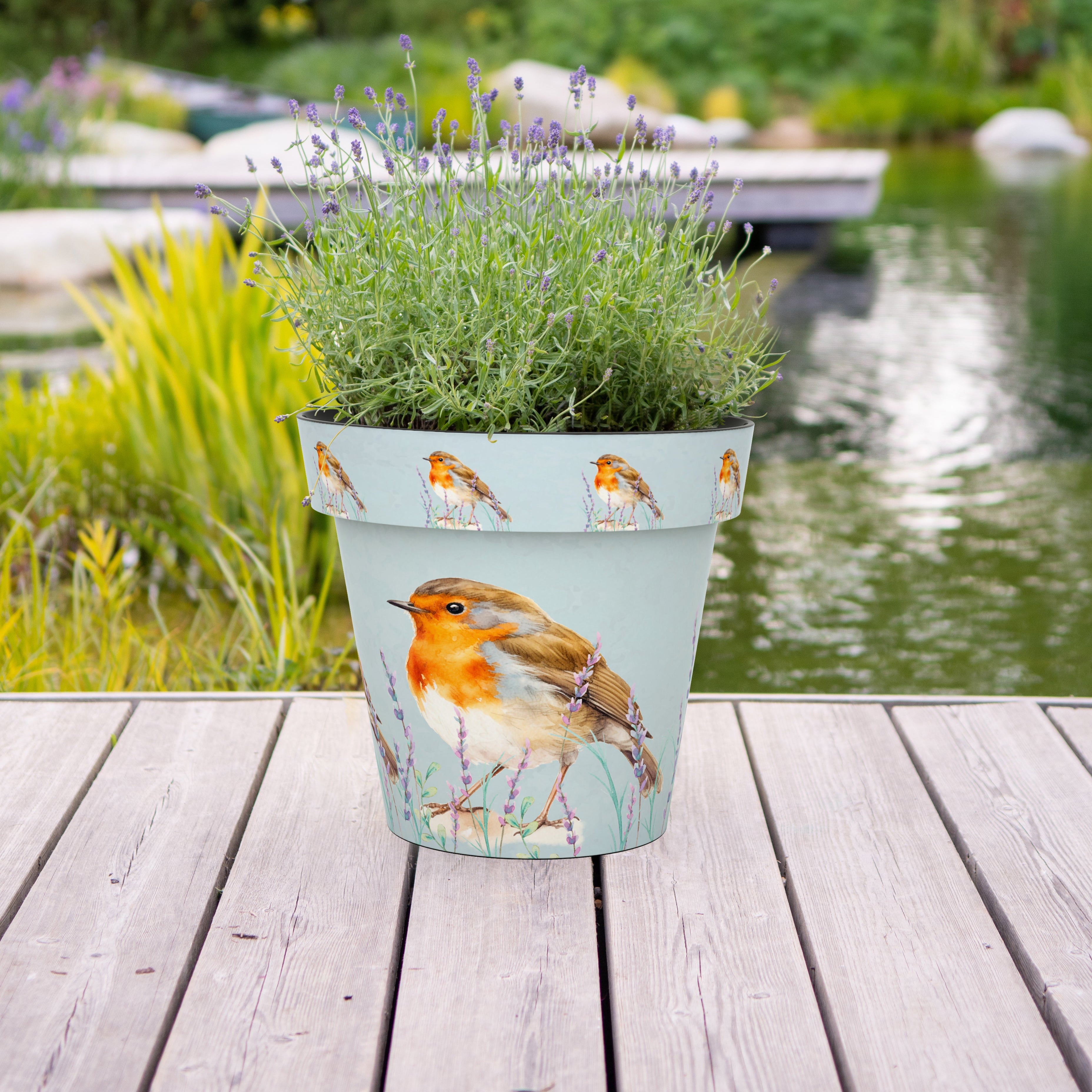 Zest Pot - Robin (available in 4 sizes)