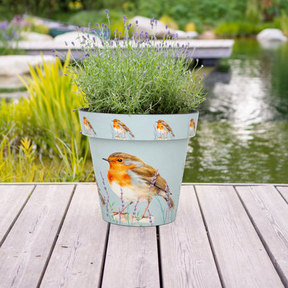 Zest Pot - Robin (available in 4 sizes)