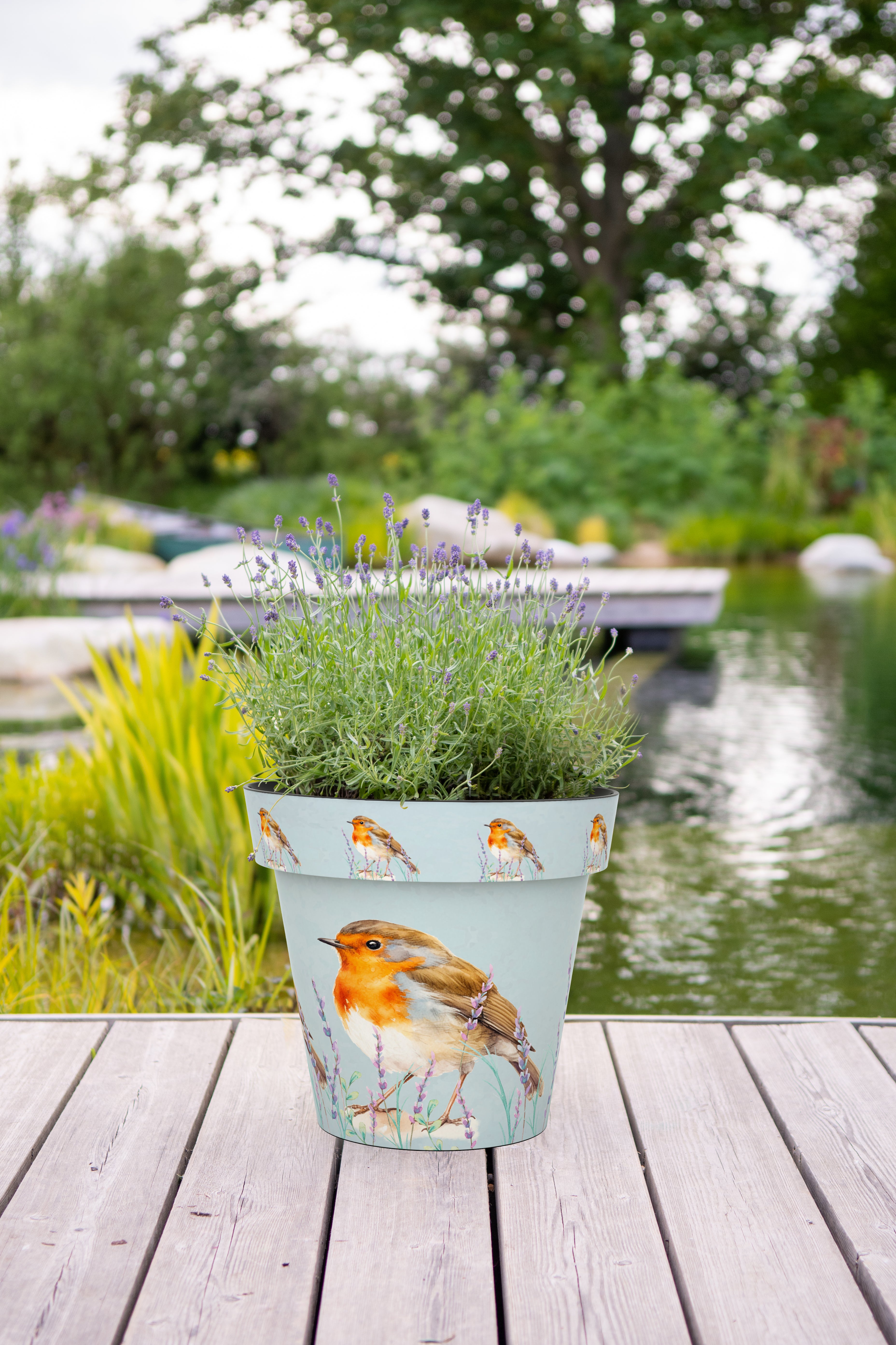 15cm Zest Pot - Robin