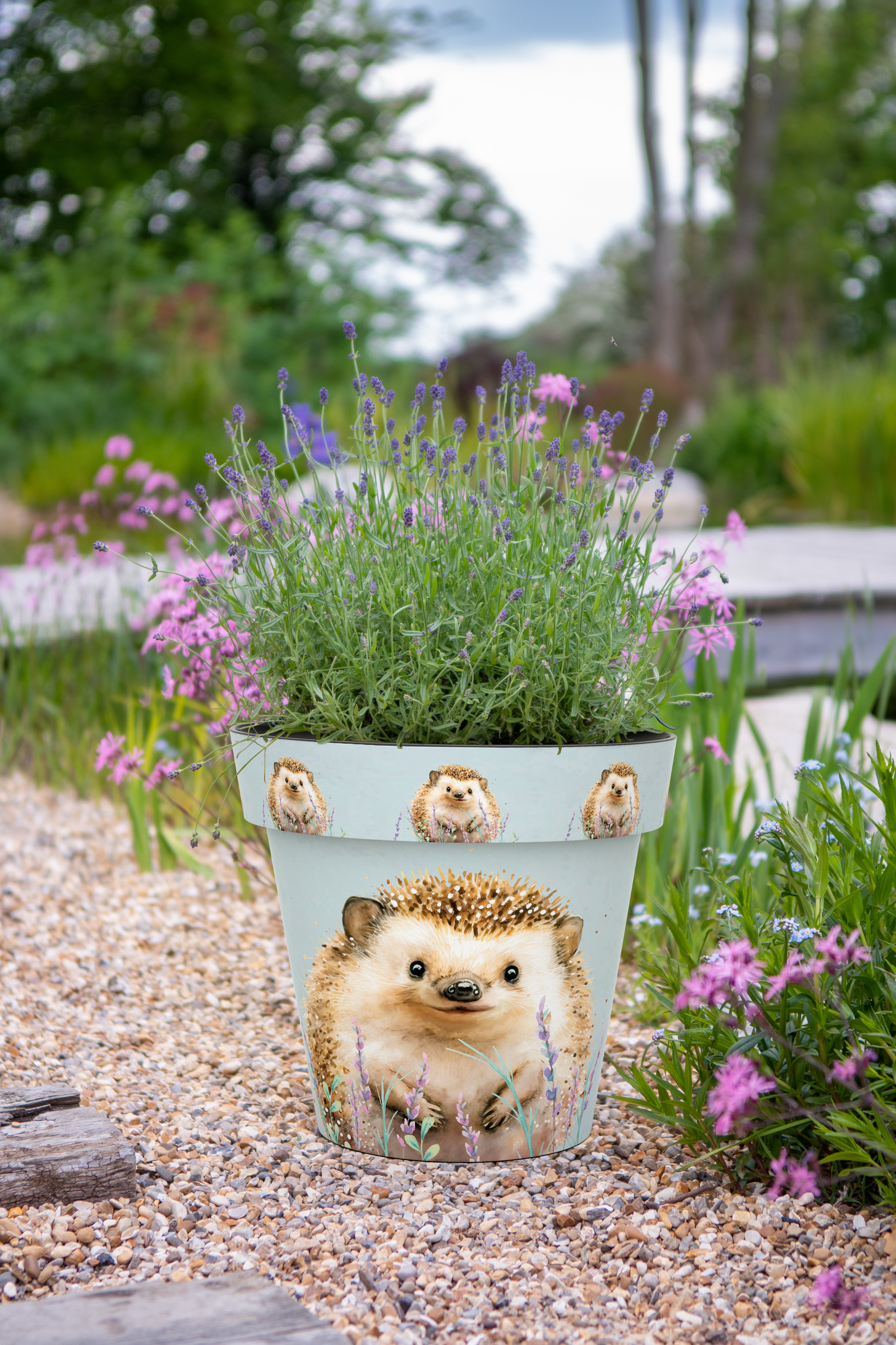 30cm Zest Pot - Hedgehog