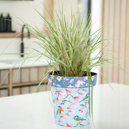 38cm Zest Outdoor Garden Pot - Watercolour Birds