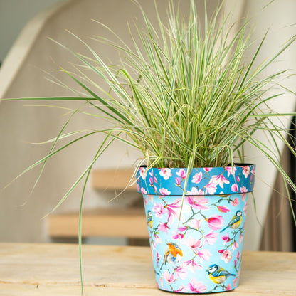 38cm Zest Outdoor Garden Pot - Watercolour Birds