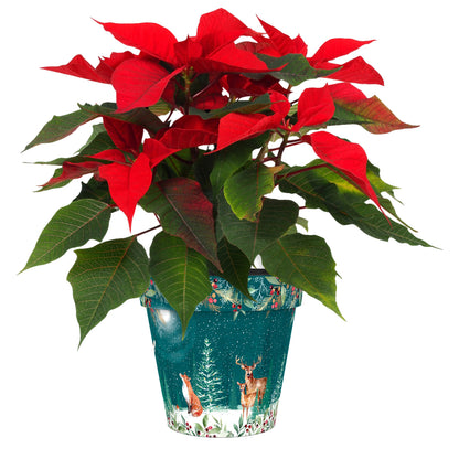 Green Woodland Scene Pot (two sizes available)