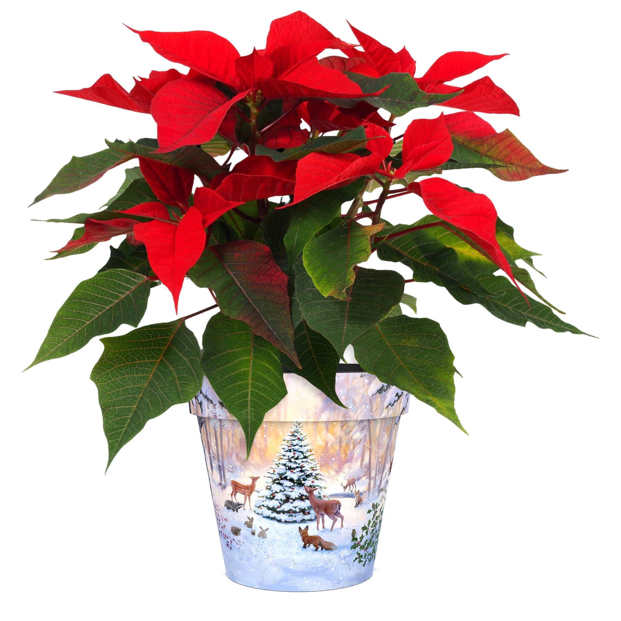 Snowy Woodland Scene Pot (two sizes available)