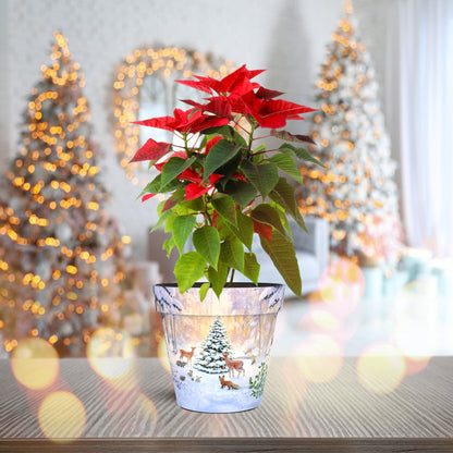 Snowy Woodland Scene Pot (two sizes available)