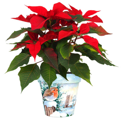 Robins With Church Pot (two sizes available)