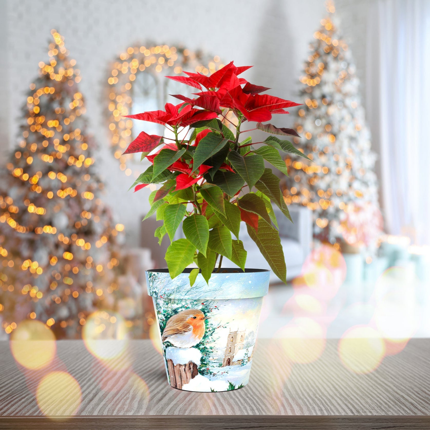 Robins With Church Pot (two sizes available)
