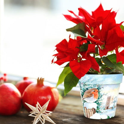 Robins With Church Pot (two sizes available)