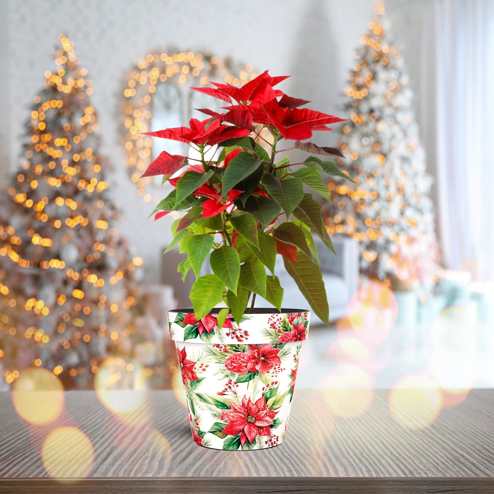 Poinsettia Pot (two sizes available)