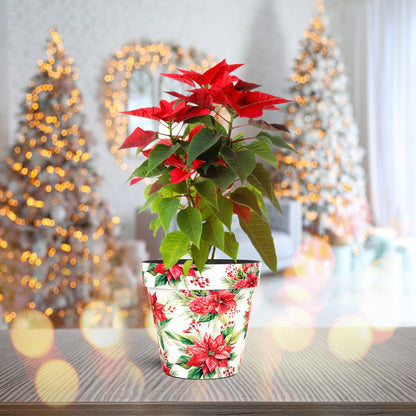 Poinsettia Pot (two sizes available)