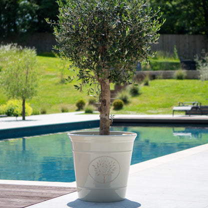 75cm Ascot Pot - Off White