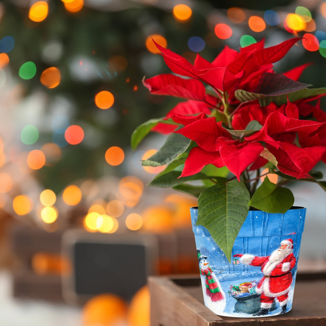 Santa & Snowman Pot Cover (two sizes available)