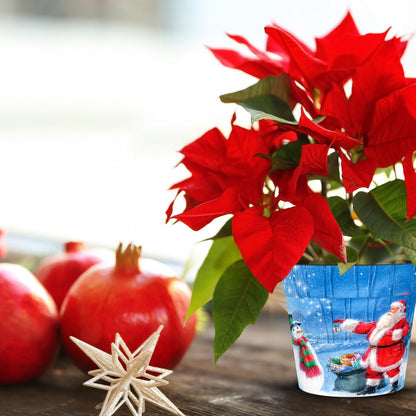 Santa & Snowman Pot Cover (two sizes available)