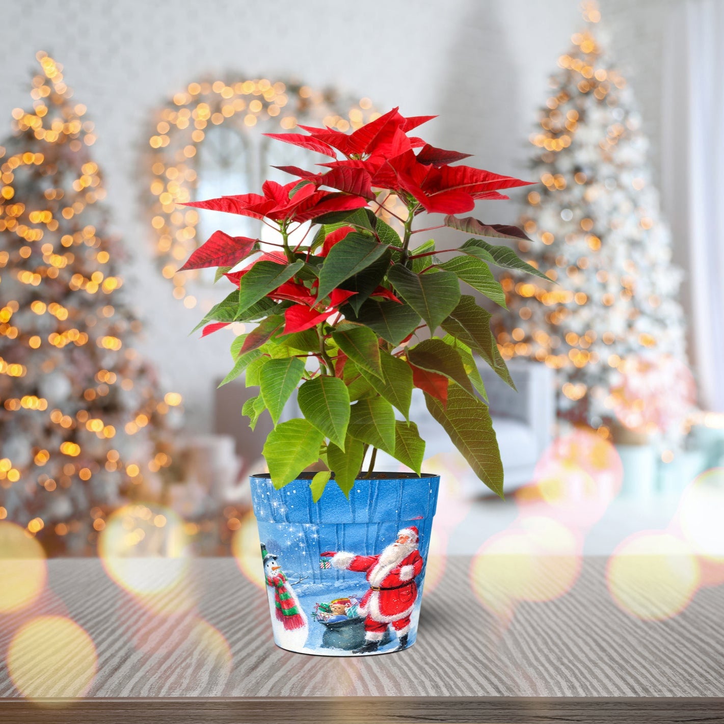 Santa & Snowman Pot Cover (two sizes available)