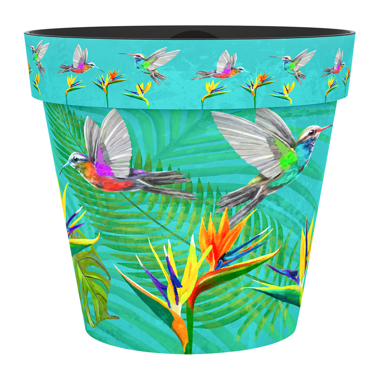 Zest Pot - Humming Bird (available in 4 sizes)
