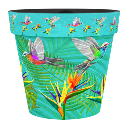 Zest Pot - Humming Bird (available in 4 sizes)