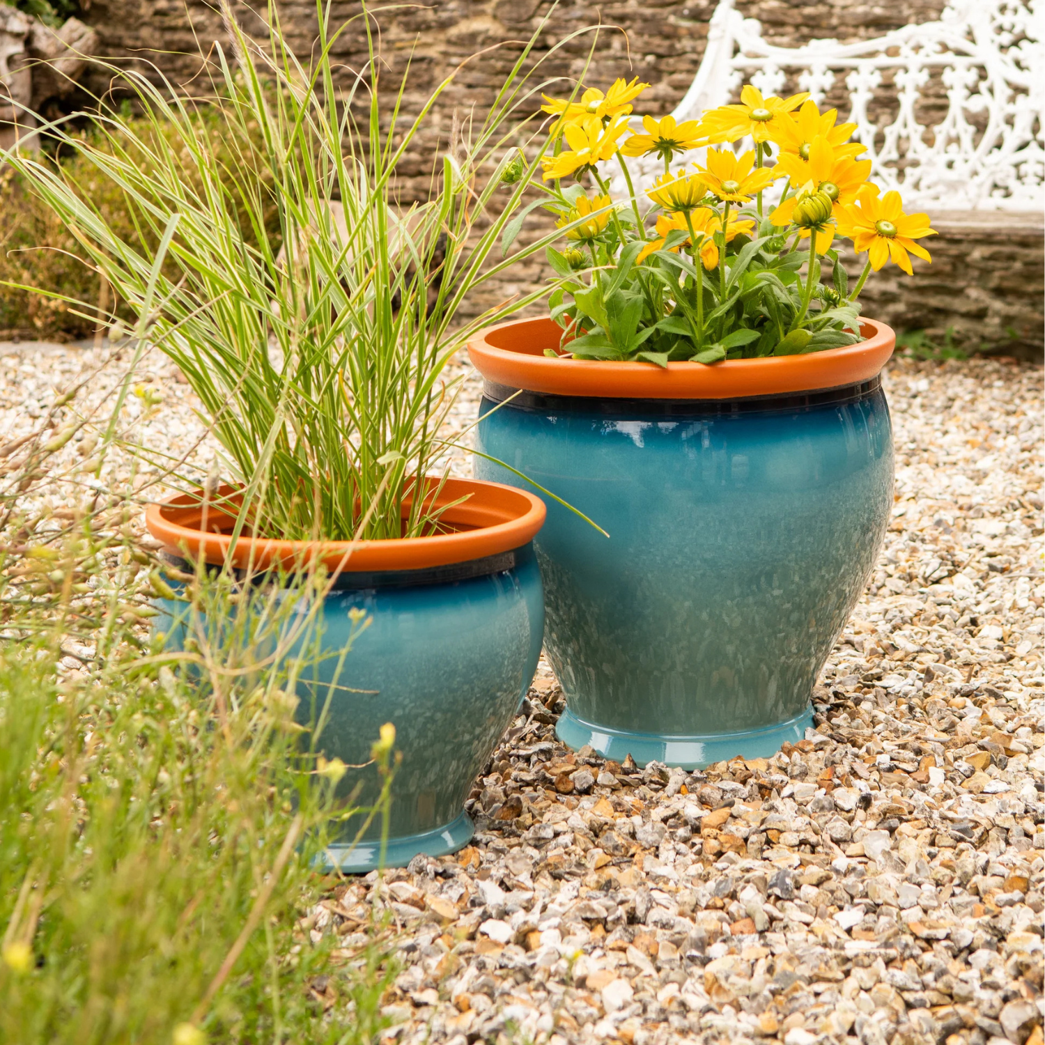 outdoor plants in pots uk Windsor Planter