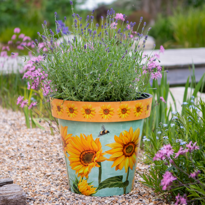 Zest Garden Pot - Watercolour Sunflower (5 Sizes Available)