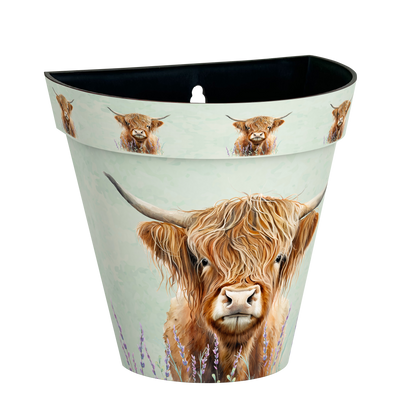 Zest Wall Pot - Highland Cow