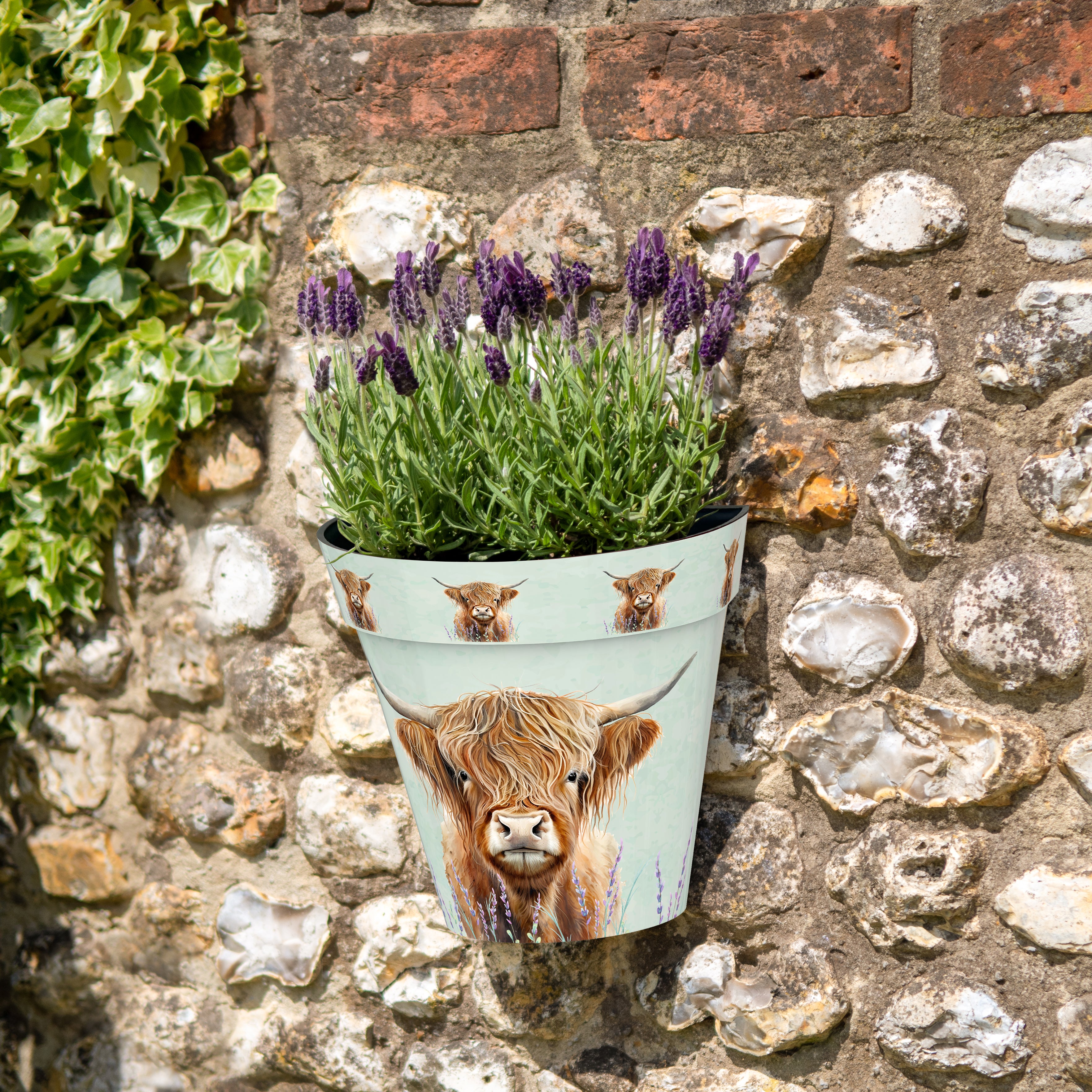 Zest Wall Pot - Highland Cow