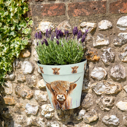 Zest Wall Pot - Highland Cow