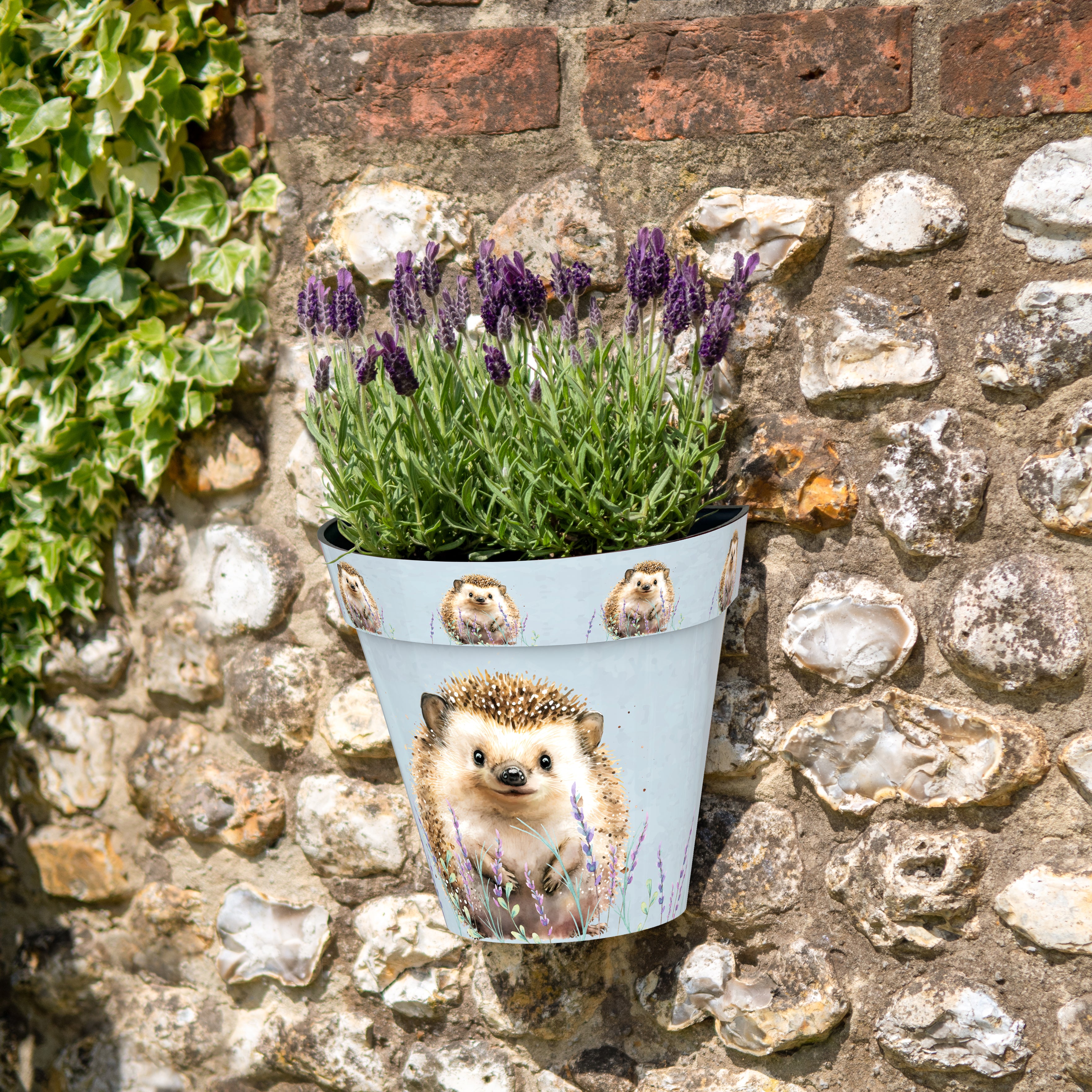 Zest Wall Pot - Hedgehog