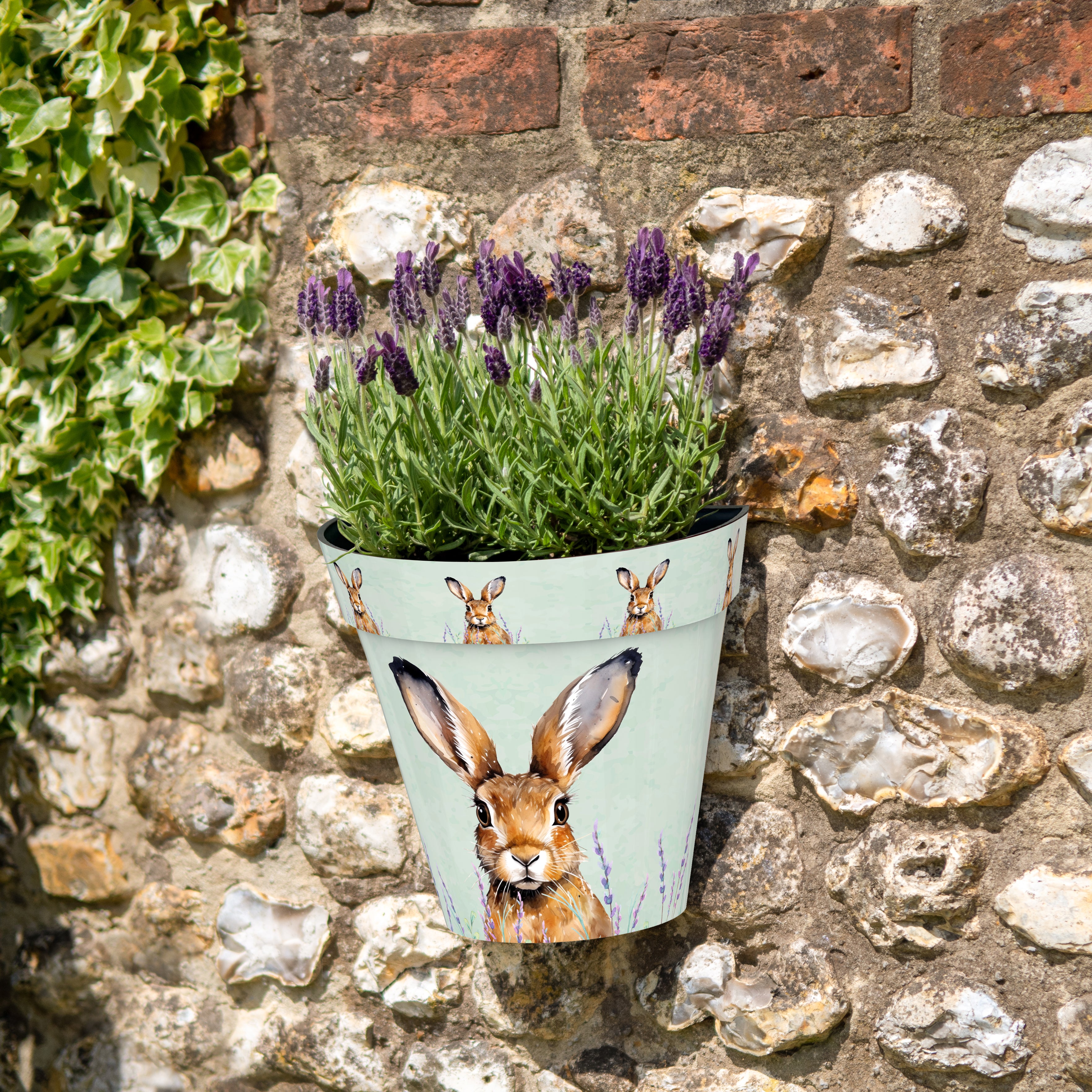 Zest Wall Pot - Hare