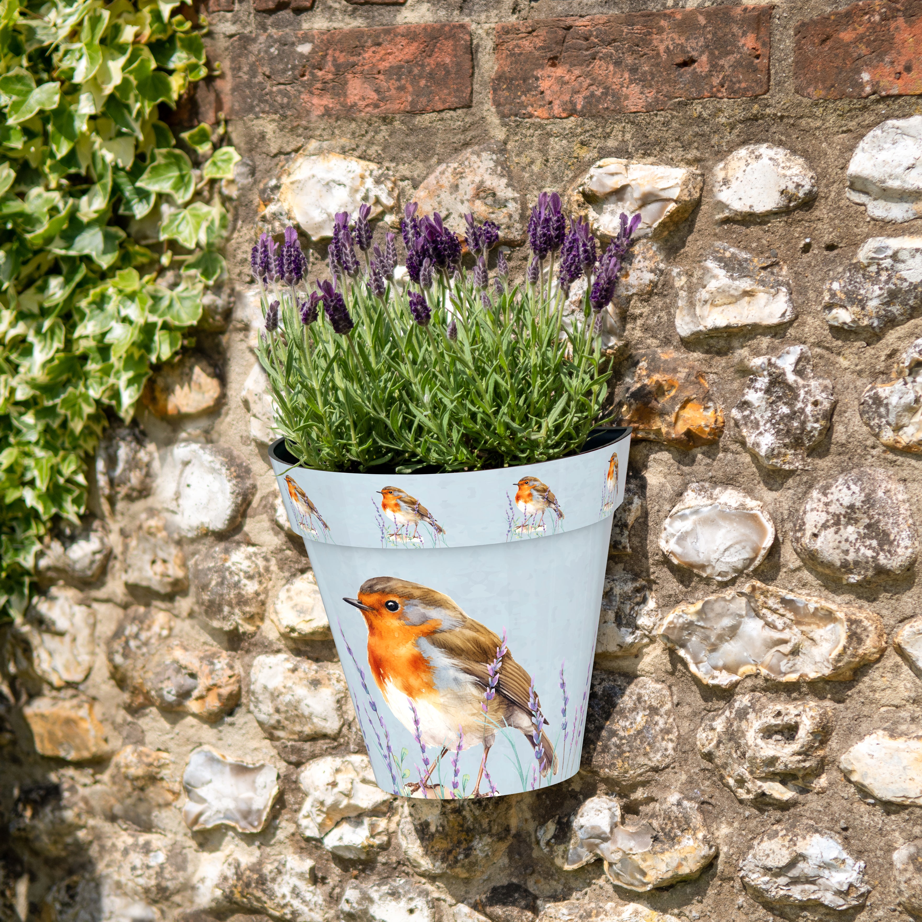 Zest Wall Pot - Robin